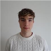 Studente al quarto anno di scuola superiore fornisce lezioni di matematica e fisica fino al primo biennio di scuola superiore